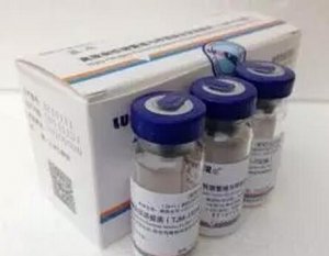实验分享：免疫蓝耳病弱毒活疫苗可提高蓝耳病