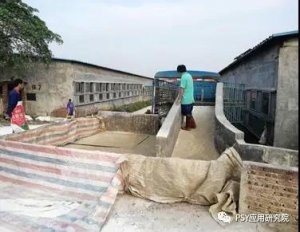 猪场最易忽视的4点生物漏洞，做好这些减少猪