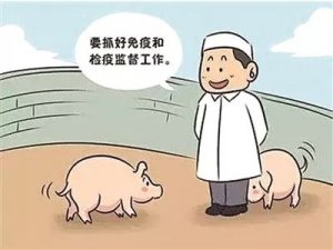 大集团防非实操方案，成活率高达98%，值得一