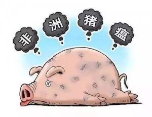 防控非洲猪瘟恢复生猪生产九项关键技术