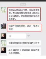 猪肉颜色苍白、渗水，猪贩子不收？背后原因何