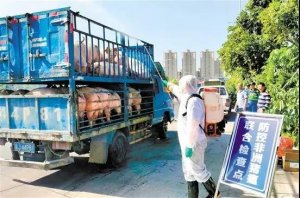“非瘟”防控之消毒 — 你真的做到了吗？