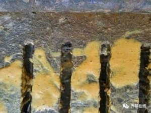 一线即时病情，为什么最近那么多的哺乳仔猪拉