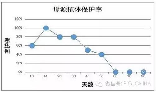 预防口蹄疫，别老拿疫苗无效来说事