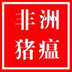 李曼大会最强干货：关于非洲猪瘟，你想知道的