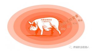 复养技术指南连载四——完善各项生产管理制度