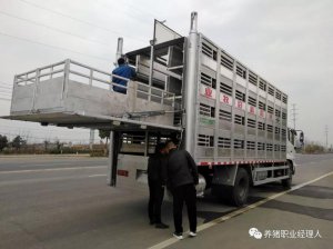 养猪生物安全之车辆运输环节