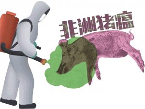 非洲猪瘟防控存在的问题难点及解决方法