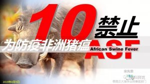 泰国教授分享—猪场防疫非洲猪瘟10禁止