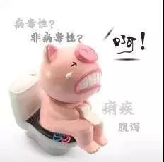 如何保护仔猪消化道正常功能来控制断奶腹泻？