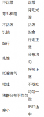 如何一眼看出你的猪是否生病（猪病早知道，钱