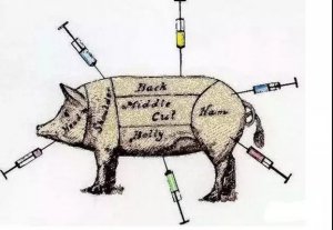 4种给猪打针途径，哪种方式更好？作用如何？