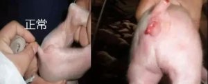 揭秘对脱霉剂的5点错误认识，以及脱霉剂企业