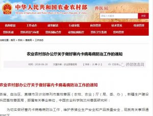 农业农村部紧急通知！塞内卡病毒已潜入我国并