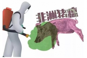 某猪场防控非瘟的心得，靠谱？附方案