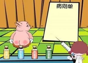 收藏版：猪病用药顺口溜，句句精彩！