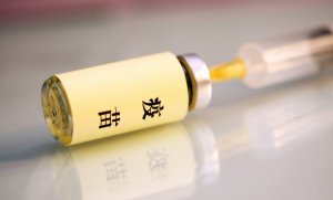 我国市场常见的蓝耳病弱毒疫苗毒株简析
