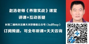 猪为什么会发烧？应该怎么退烧？