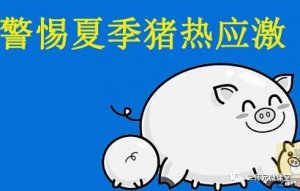 夏季热应激对养猪场的影响有哪些？怎么破解?