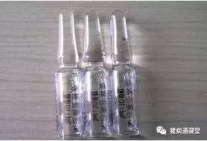 缩宫素在母猪生产中的正确应用方法！