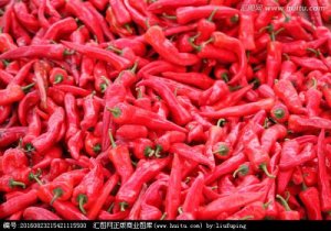 辣椒不仅是调味剂，它还可以治猪病，你还不知