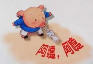 秋季忽冷忽热，非瘟严重，猪的流感一定要做好
