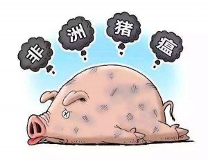 非洲猪瘟流行病学特点、病理过程与解决思路