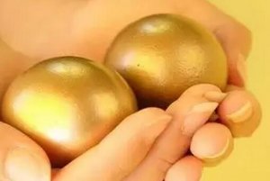 猪病综合防治黄金法则......