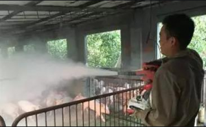 养殖场不同疫病对“消毒剂”的选择