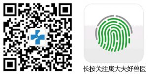 图解猪病：如何一眼诊断猪弓形体病（干货）