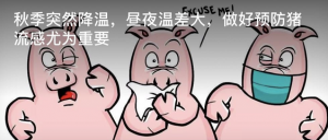 秋季突然降温，昼夜温差大，做好预防猪流感尤