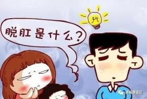 【脱肛】各阶段猪脱肛的简易处理方法，值得收