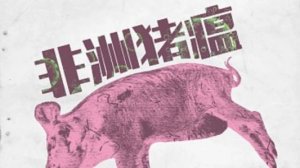 川农徐志文教授：非瘟背景下，少打针重监测认