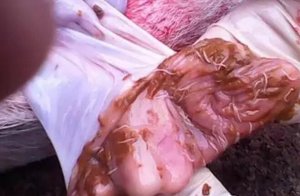 如何准确判定猪的驱虫效果，彻底驱虫体内外寄