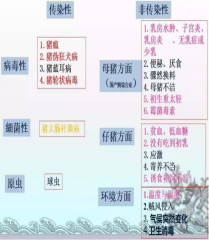 几张图表教你远离哺乳仔猪腹泻