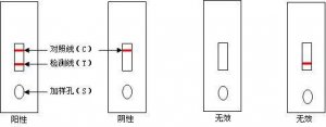 技术控|猪场抗体检测数据的分析及应用