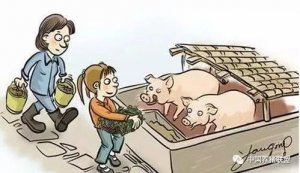 【非洲猪瘟】为何难以防控？专家矛头直指...