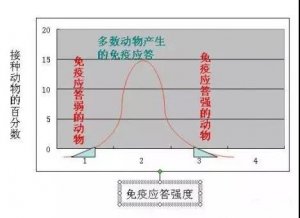 猪场制定免疫程序时需考虑六大因素