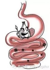 引起猪胀气死亡的原因与防治
