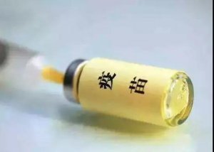 【疫病知识】非洲猪瘟“候选疫苗”离疫苗正式