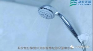 控制车辆流之拉猪车司机的管理