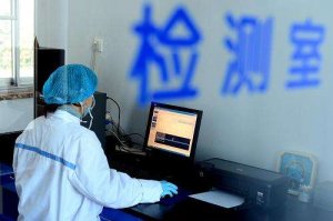 非洲猪瘟病毒实时荧光PCR检测操作流程